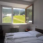 Hotel Hotel Ski 2*