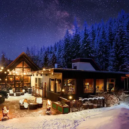 Hotel Ski 2* ديمانوفْشكا دولِنا