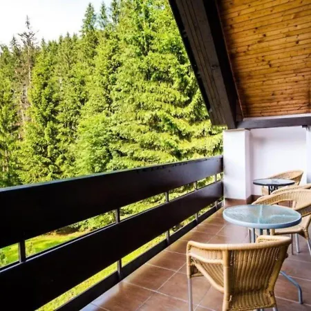 Hotel Ski 2*