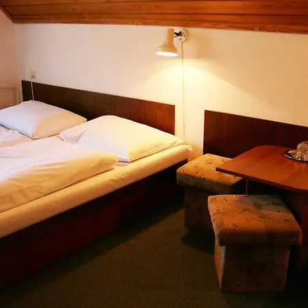 Hotel Ski 2*